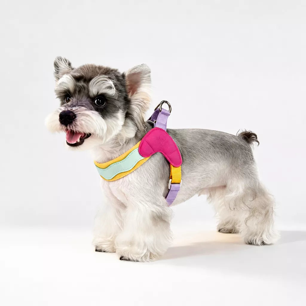 Y-Front Dog Harness with Matching Leash