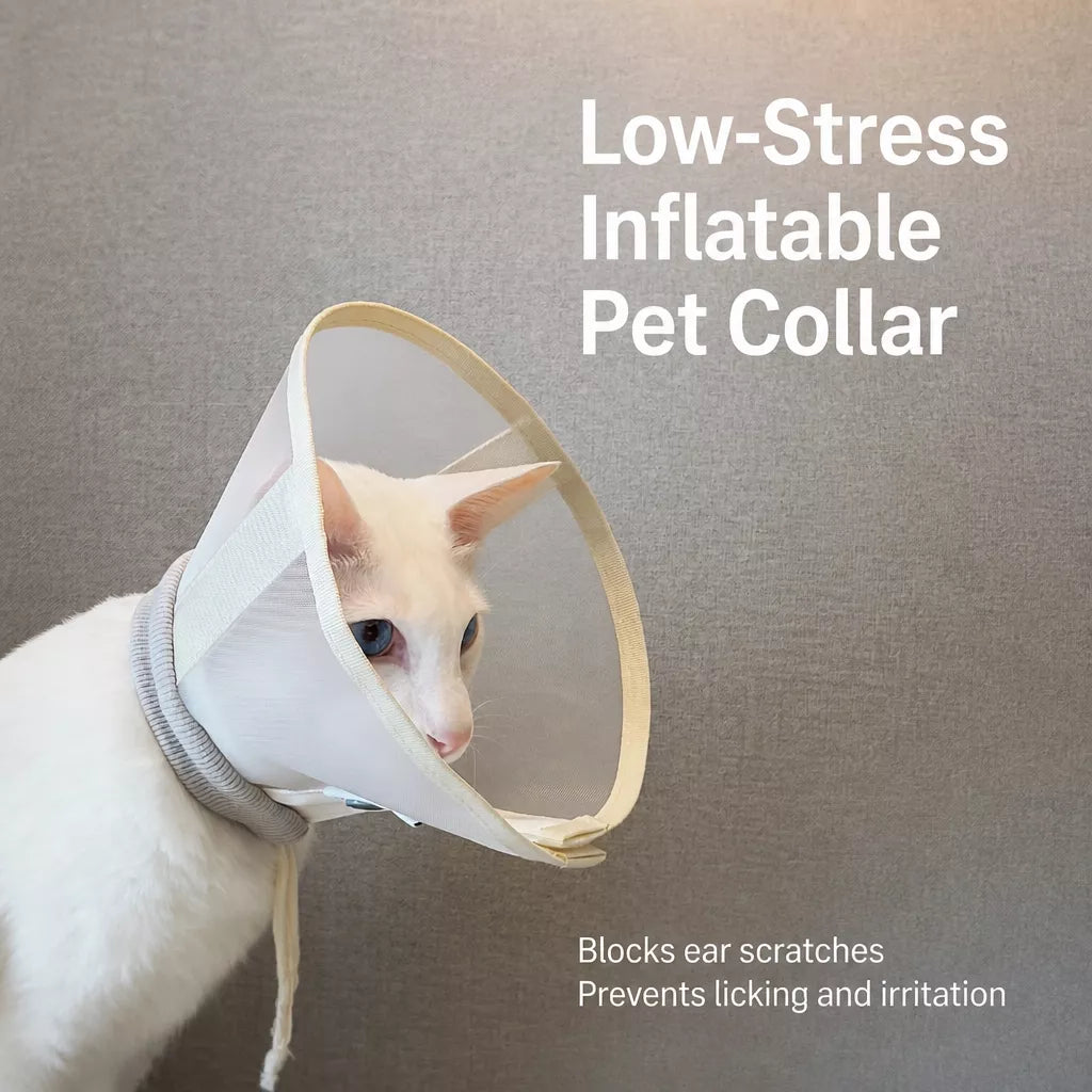 Lightweight Plastic Recovery Cone for Dogs and Cats