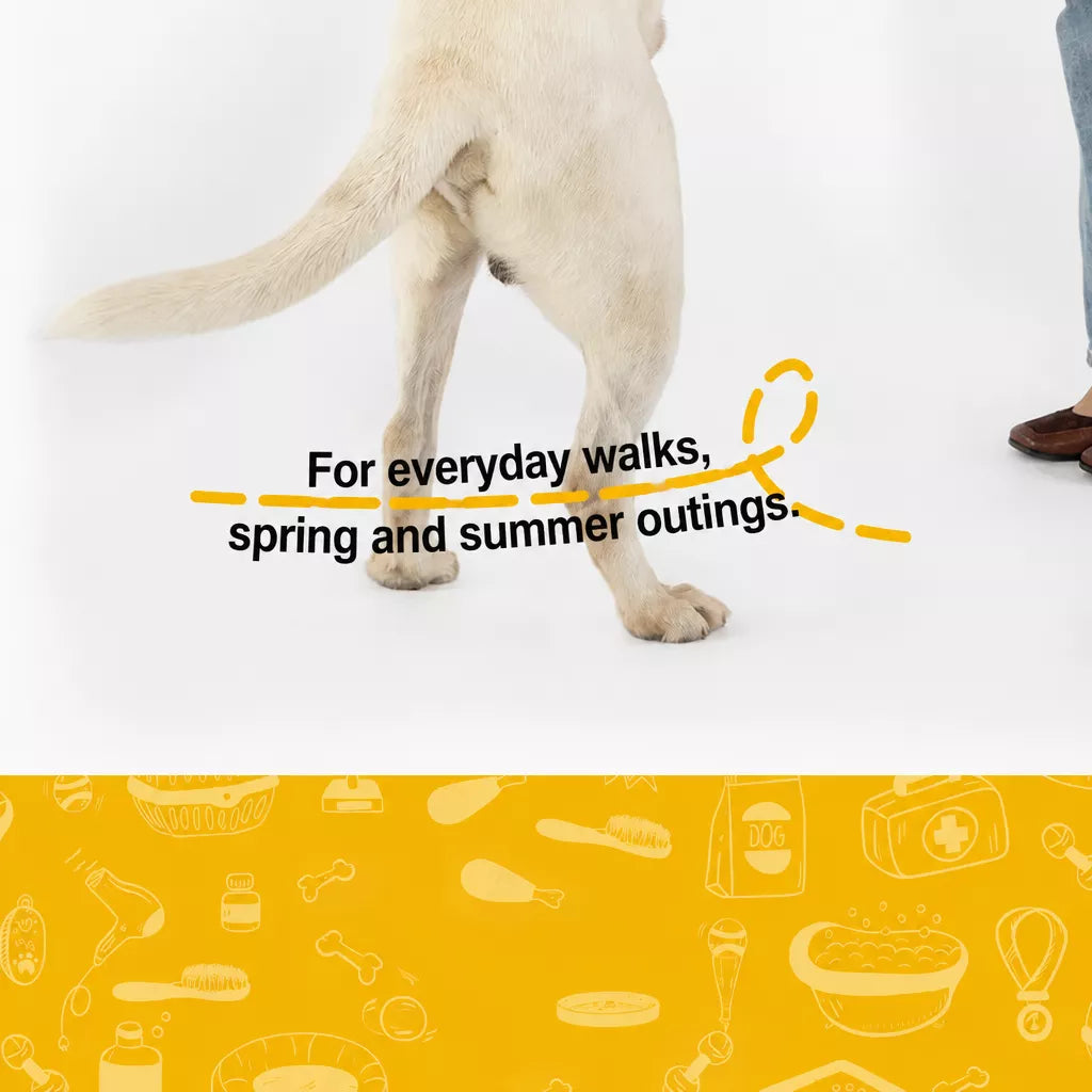 Lightweight Nylon Dog Harness and Leash Set
