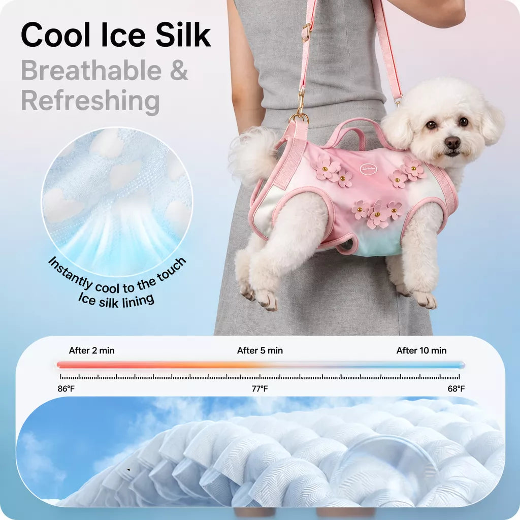Small Pet Shoulder Carrier Bag for Cats and Small Dogs