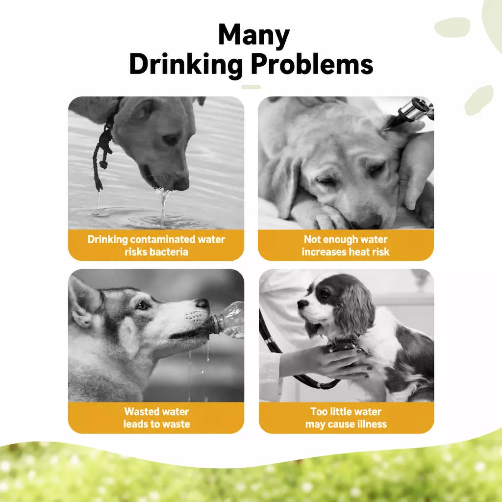 Portable Dog Water Bottle for Walks and Outdoor Adventures