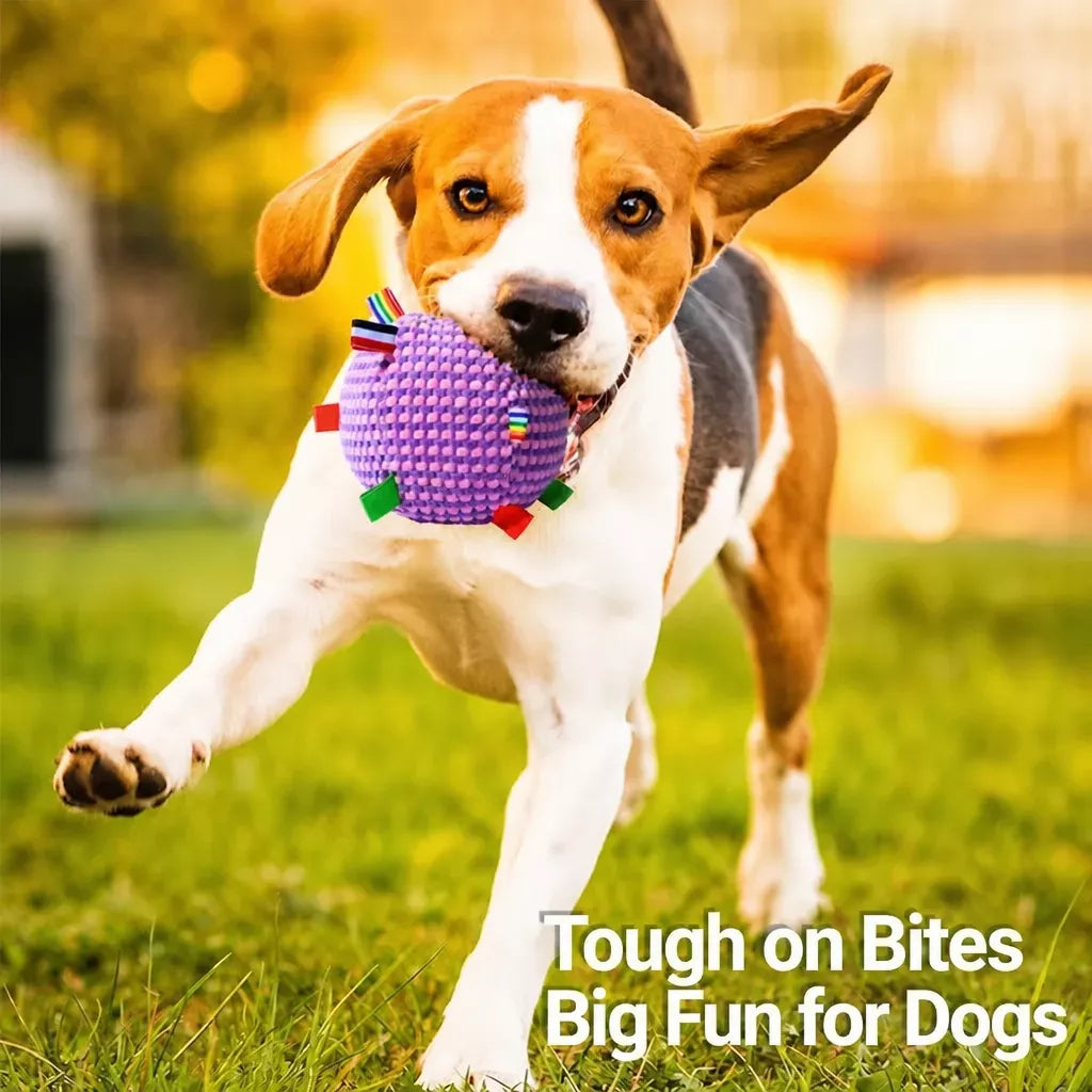 Squeaky Plush Ball Dog Toy