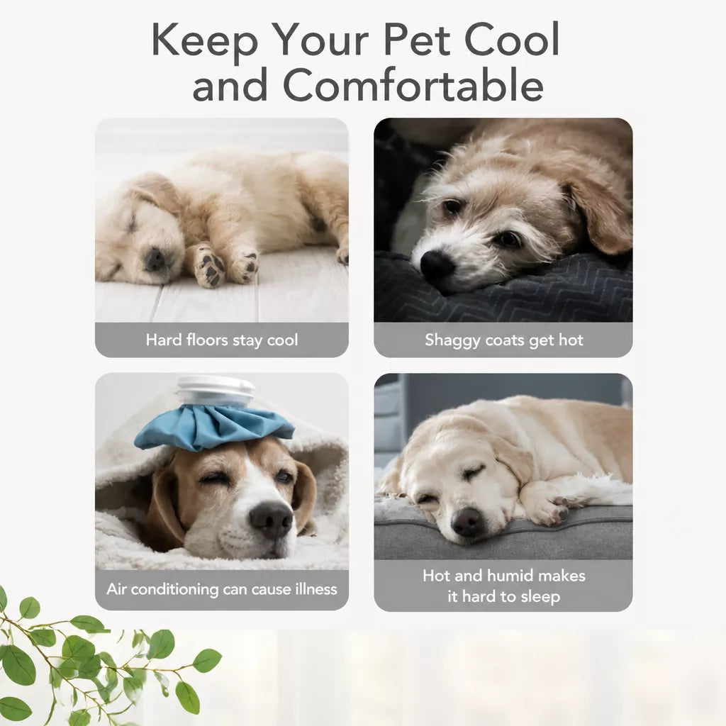 Removable Washable Fabric Dog Bed for Year-Round Use
