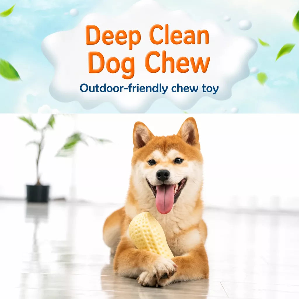 Peanut-Shaped Squeaky Dog Toy