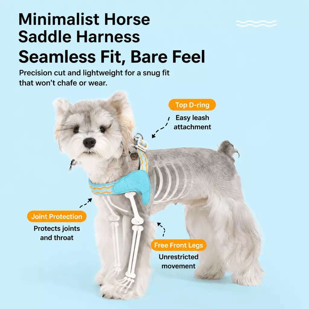 Y-Shaped Dog Harness and Leash for Small to Medium Dogs