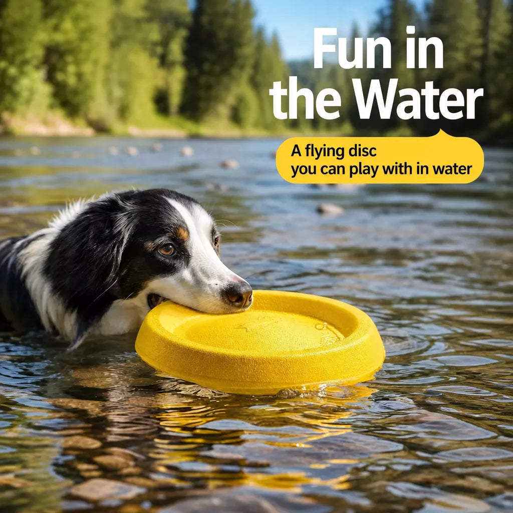 Interactive Dog Toy with Flying Disc, Tug Ring & Floating Ball