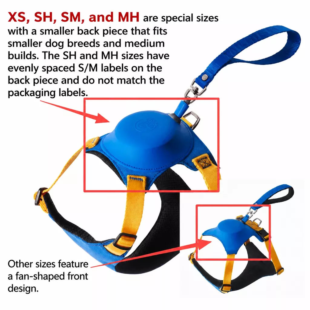 Nylon Dog Harness and Leash Set