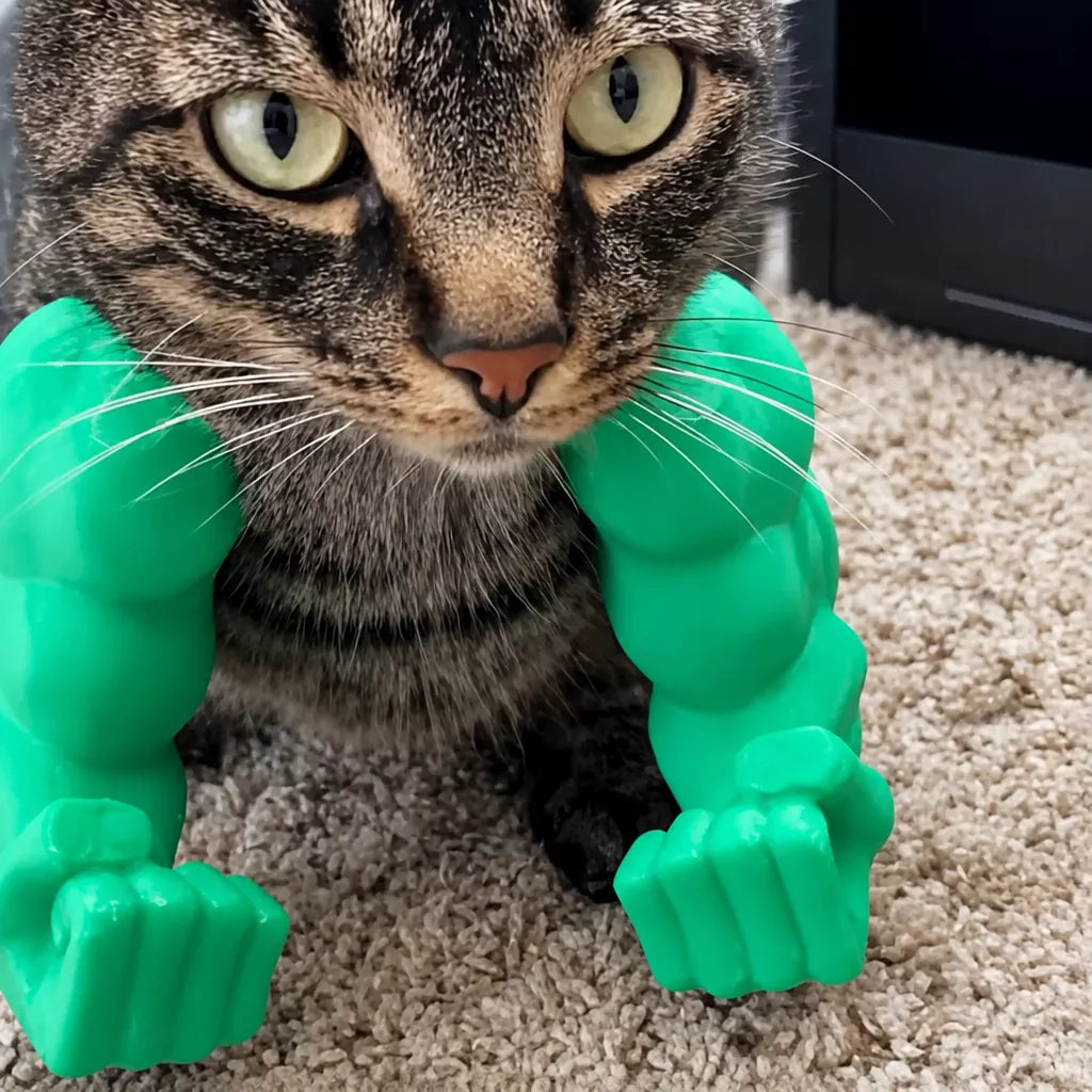 3D-Printed Pet Collar Charm