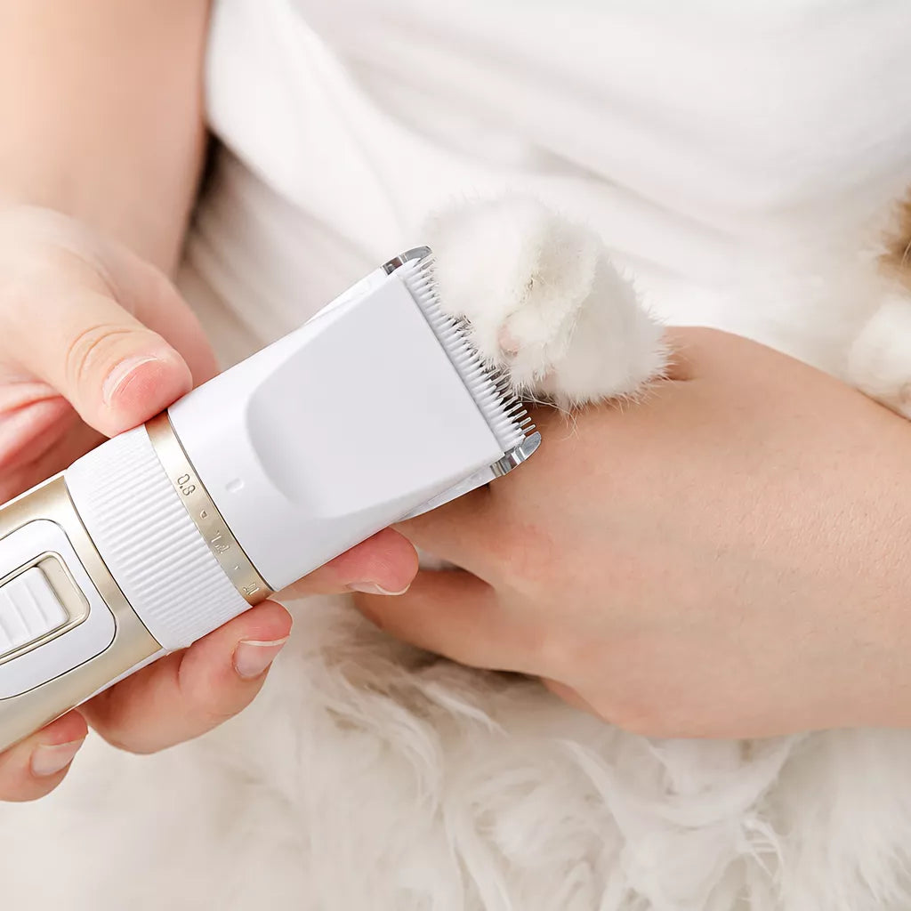 Pet Hair Clipper and Paw Trimmer for Dogs and Cats