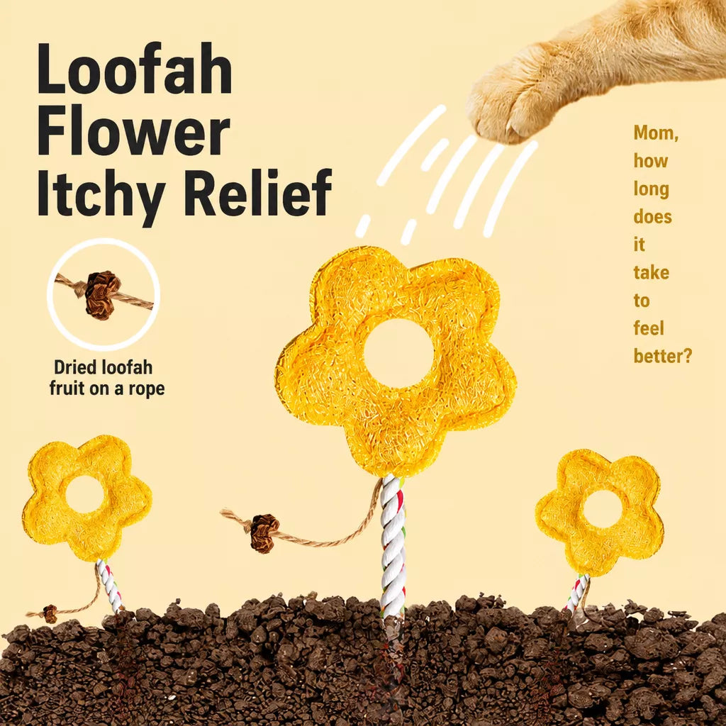 Natural Loofah Cat Toy with Catnip