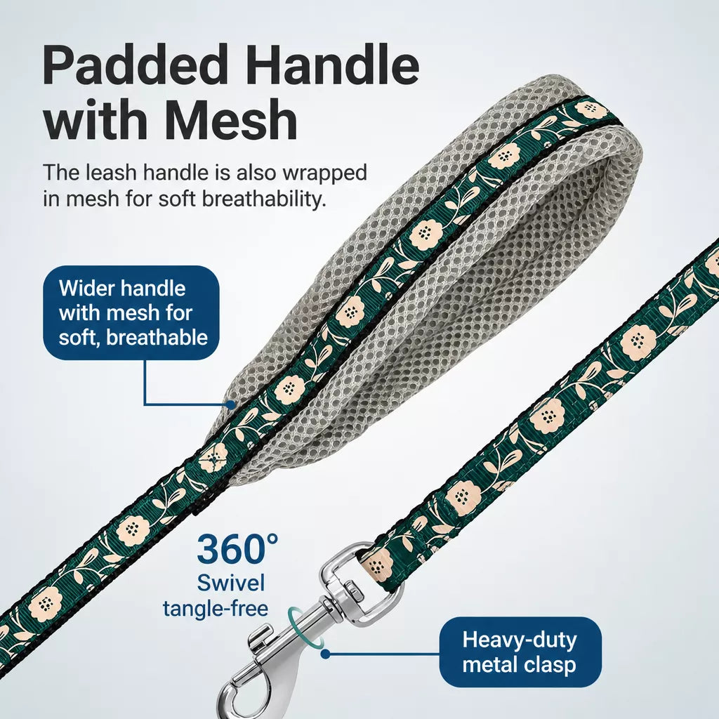 Small Dog Vest Harness and Leash
