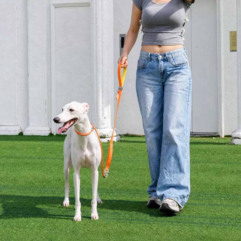 Integrated Slip Lead Dog Leash with Close-Control Handle