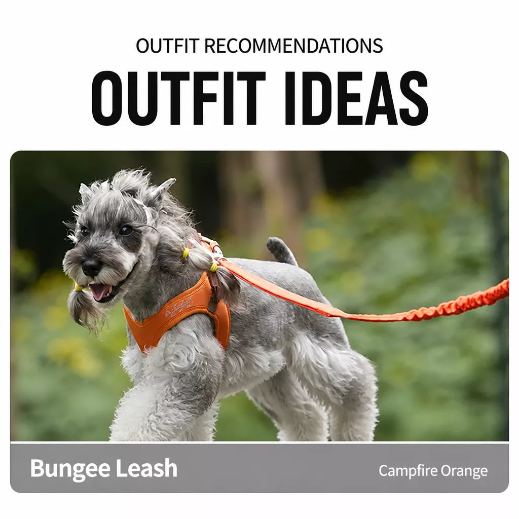 Adjustable Nylon Vest Harness for Small Dogs