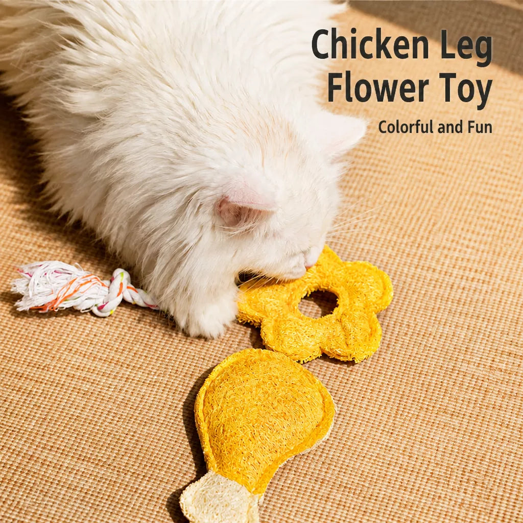Natural Loofah Cat Toy with Catnip