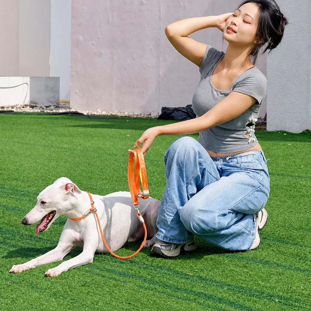 Integrated Slip Lead Dog Leash with Close-Control Handle