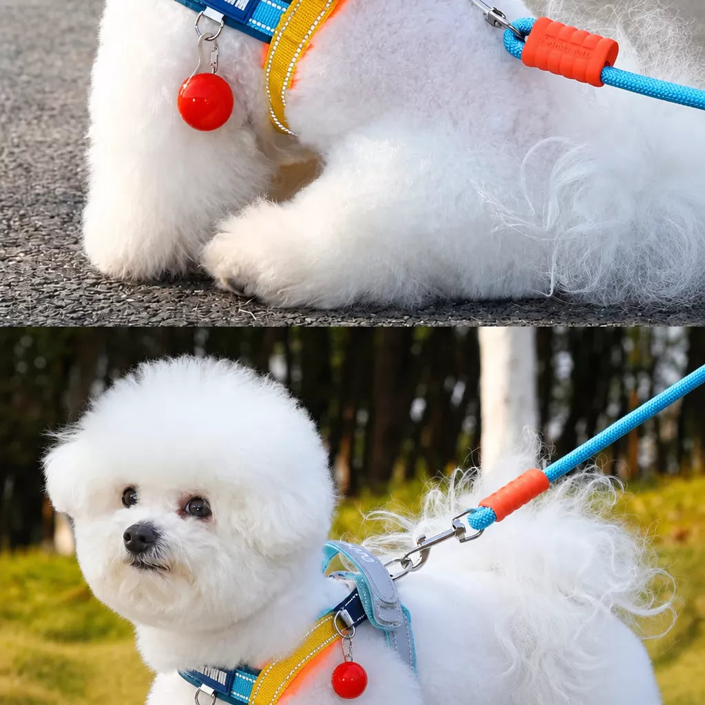 Nylon Round Dog Leash for Small to Medium Dogs