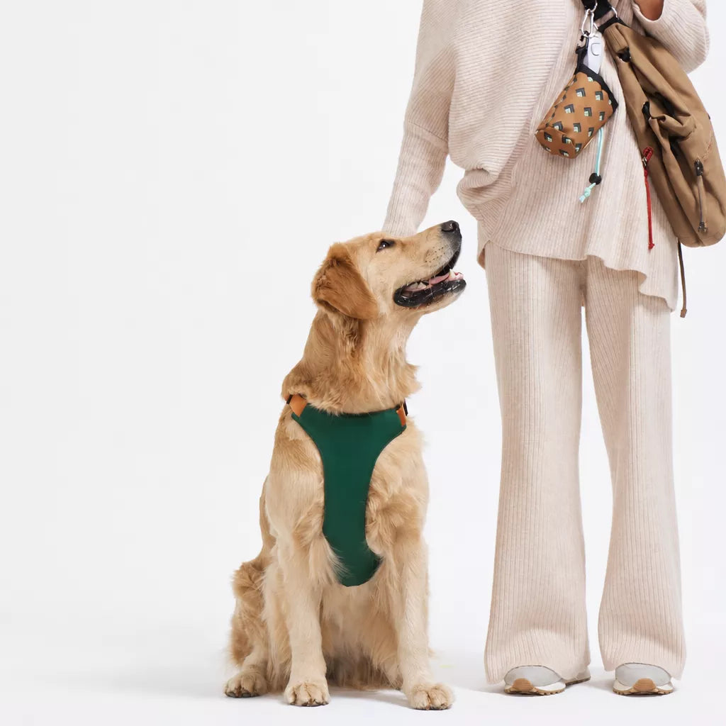 Nylon Dog Harness and Leash Set