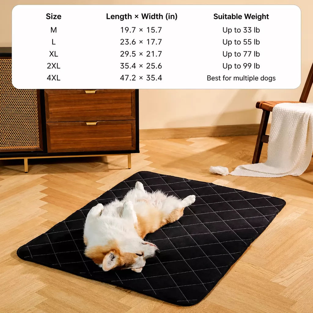 Foam Dog Crate & Floor Mat