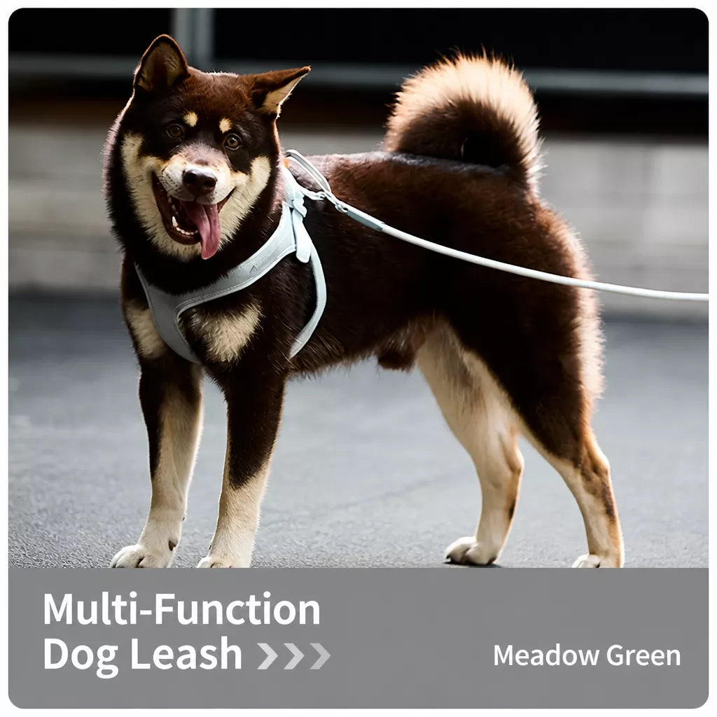 Adjustable Nylon Vest Harness for Small Dogs