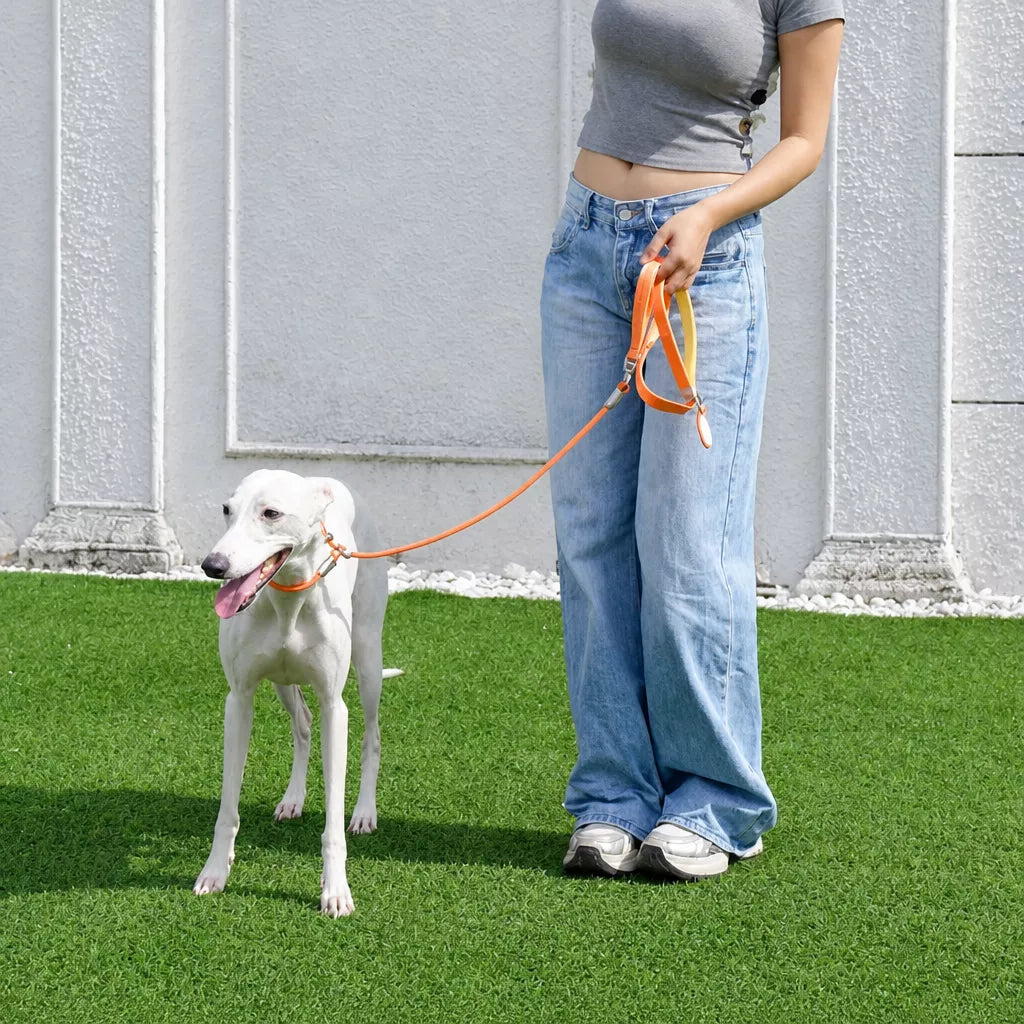 Integrated Slip Lead Dog Leash with Close-Control Handle