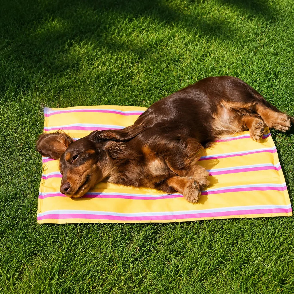Striped Gel Pet Mat for Dogs and Cats