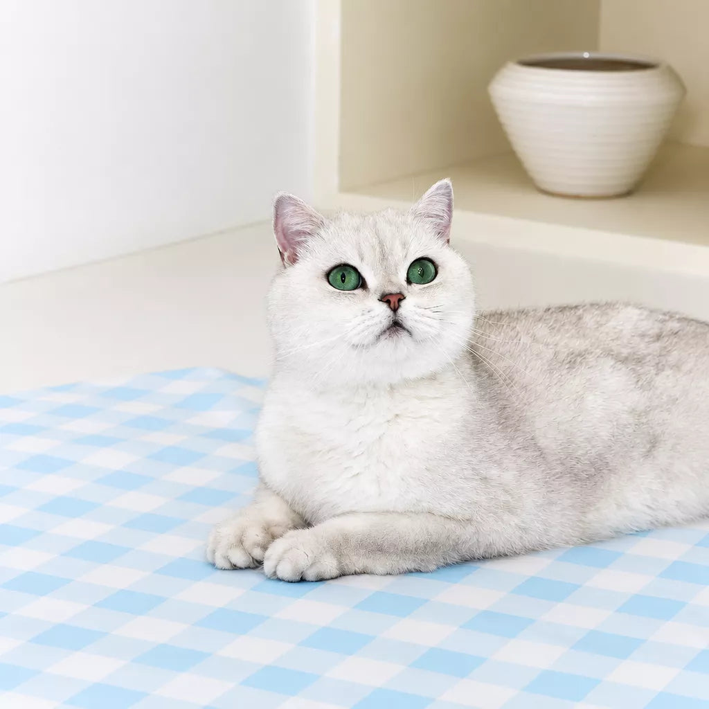 Plaid Pet Tunnel Bed