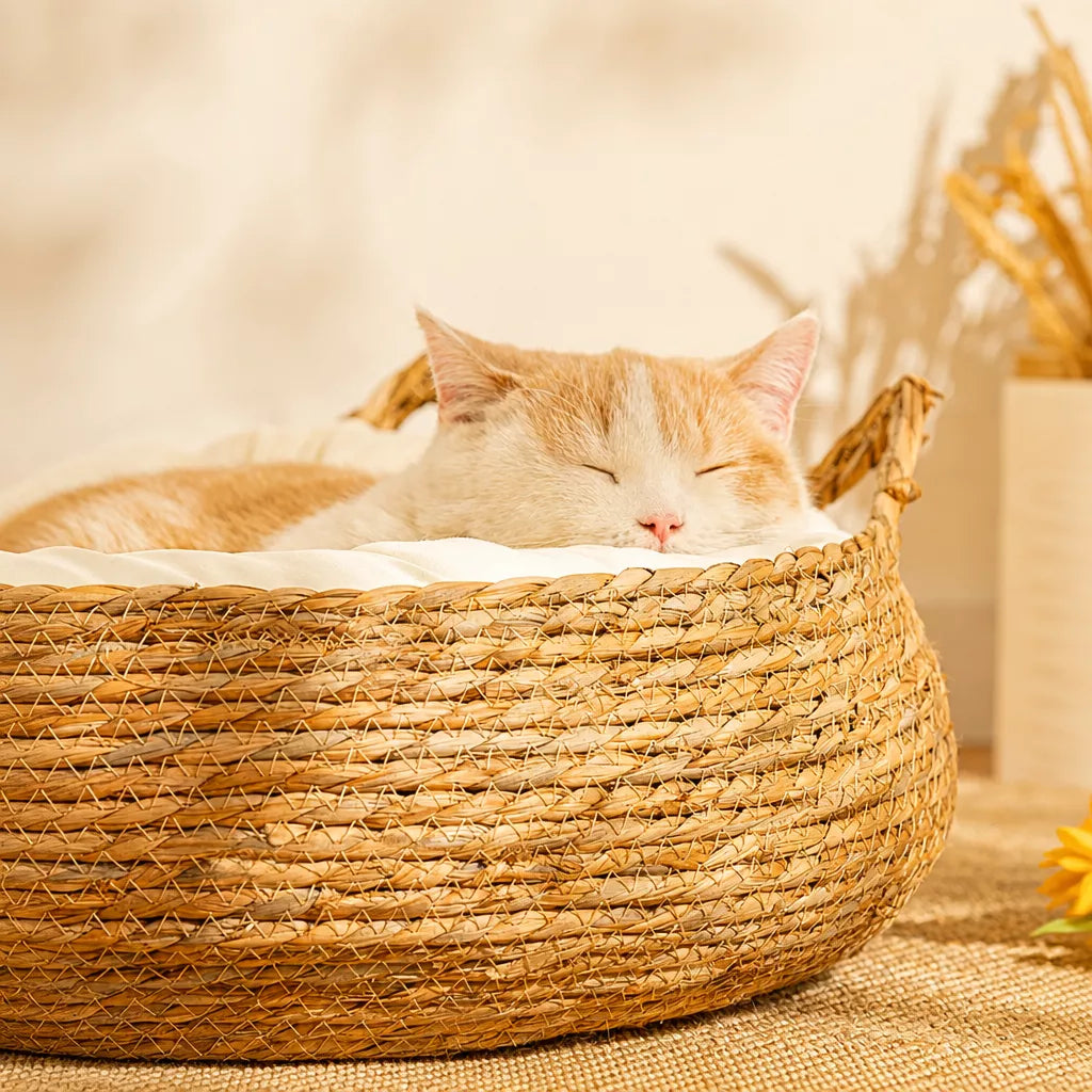 Woven Rattan Cat Bed with Cat-Ear Design
