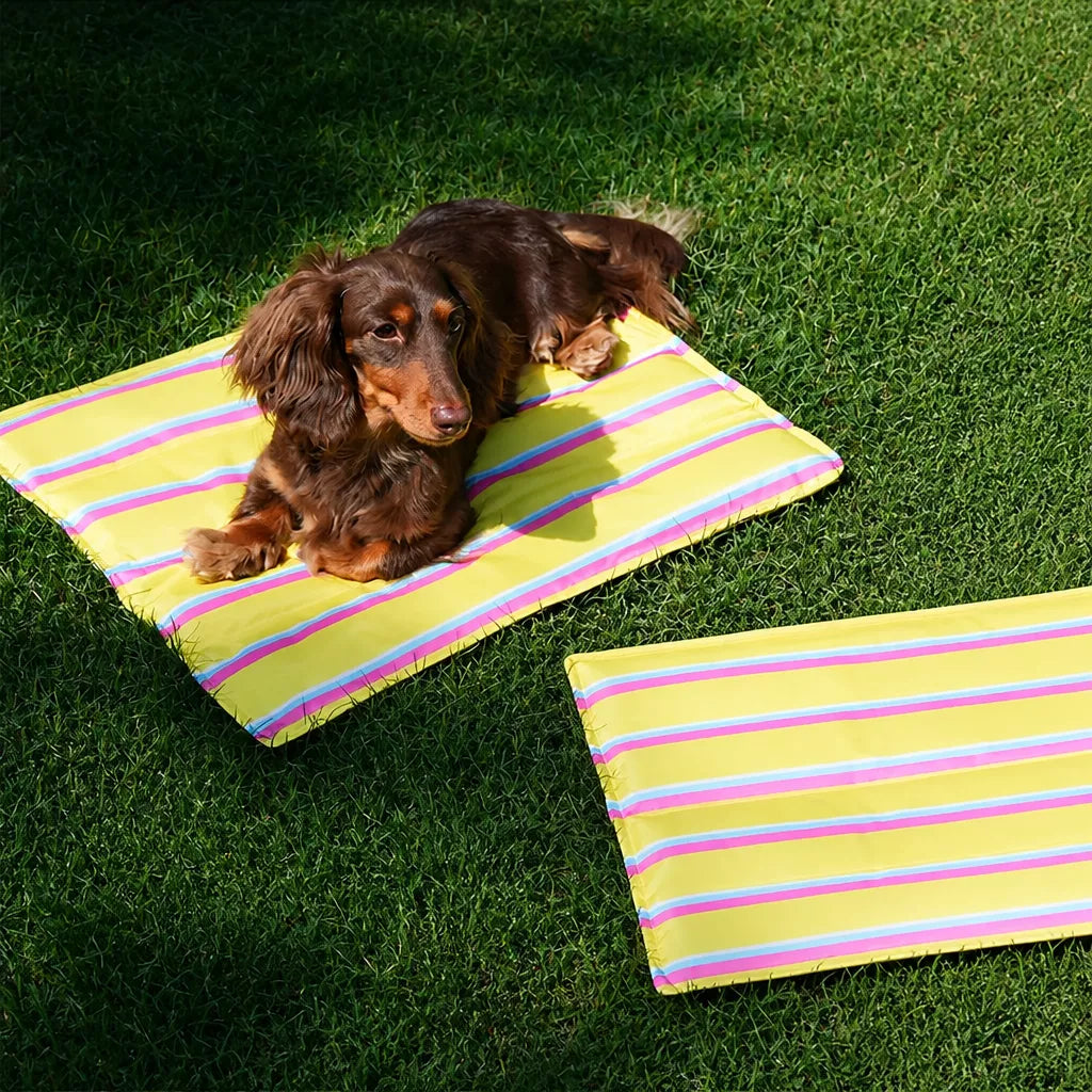 Striped Gel Pet Mat for Dogs and Cats
