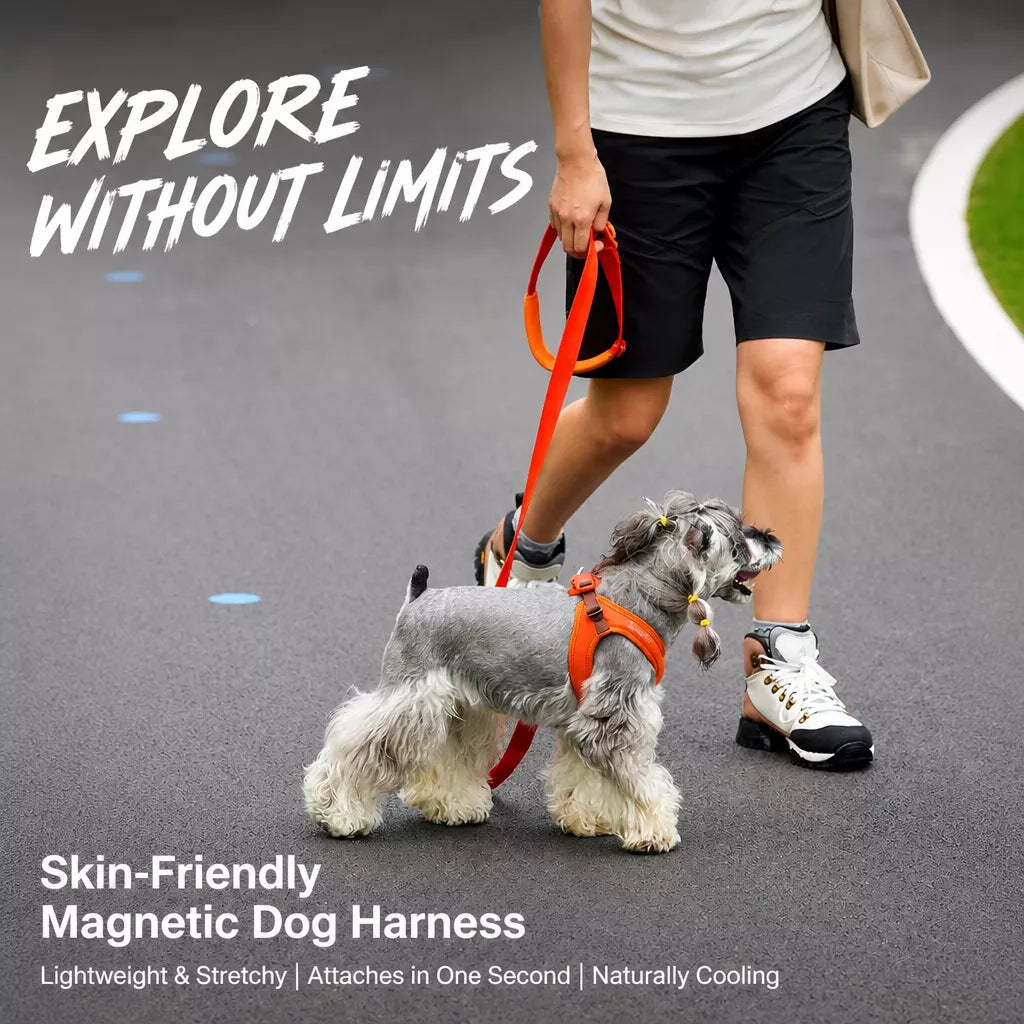 Adjustable Nylon Vest Harness for Small Dogs