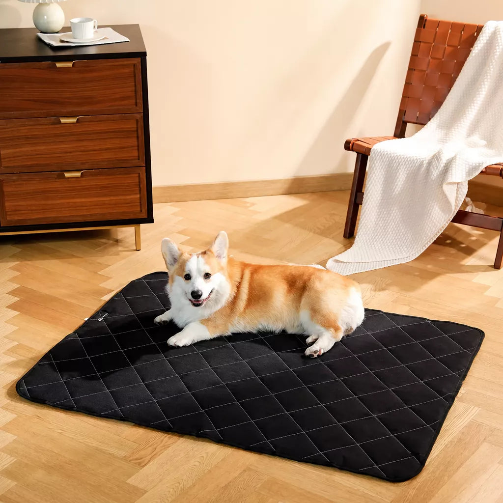 Foam Dog Crate & Floor Mat