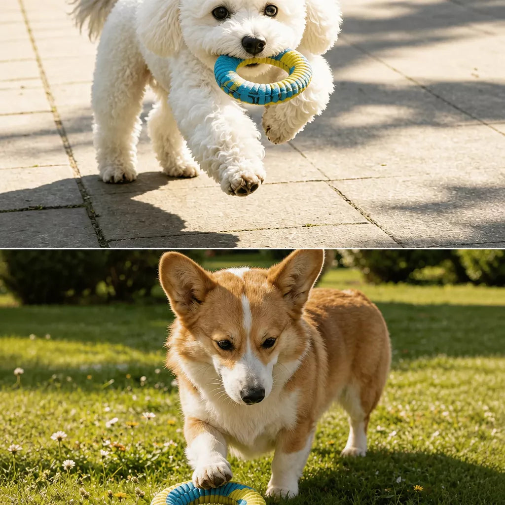 Knotted Nylon Dog Rope Tug Toy for Interactive Play