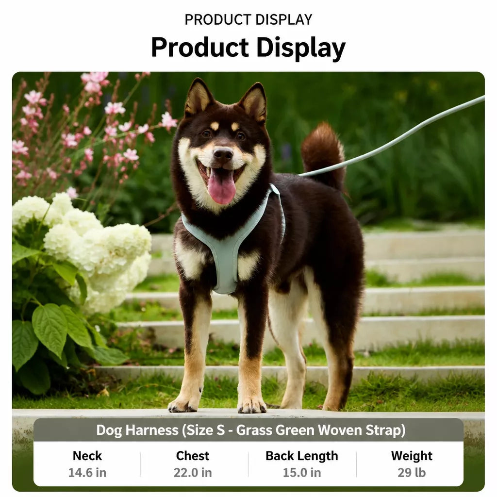 Adjustable Nylon Vest Harness for Small Dogs