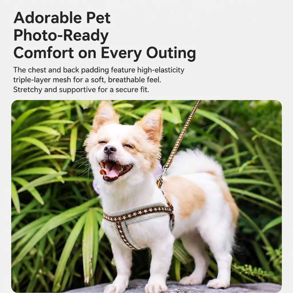 Small Dog Vest Harness and Leash