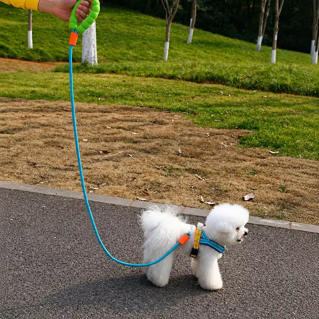 Nylon Round Dog Leash for Small to Medium Dogs