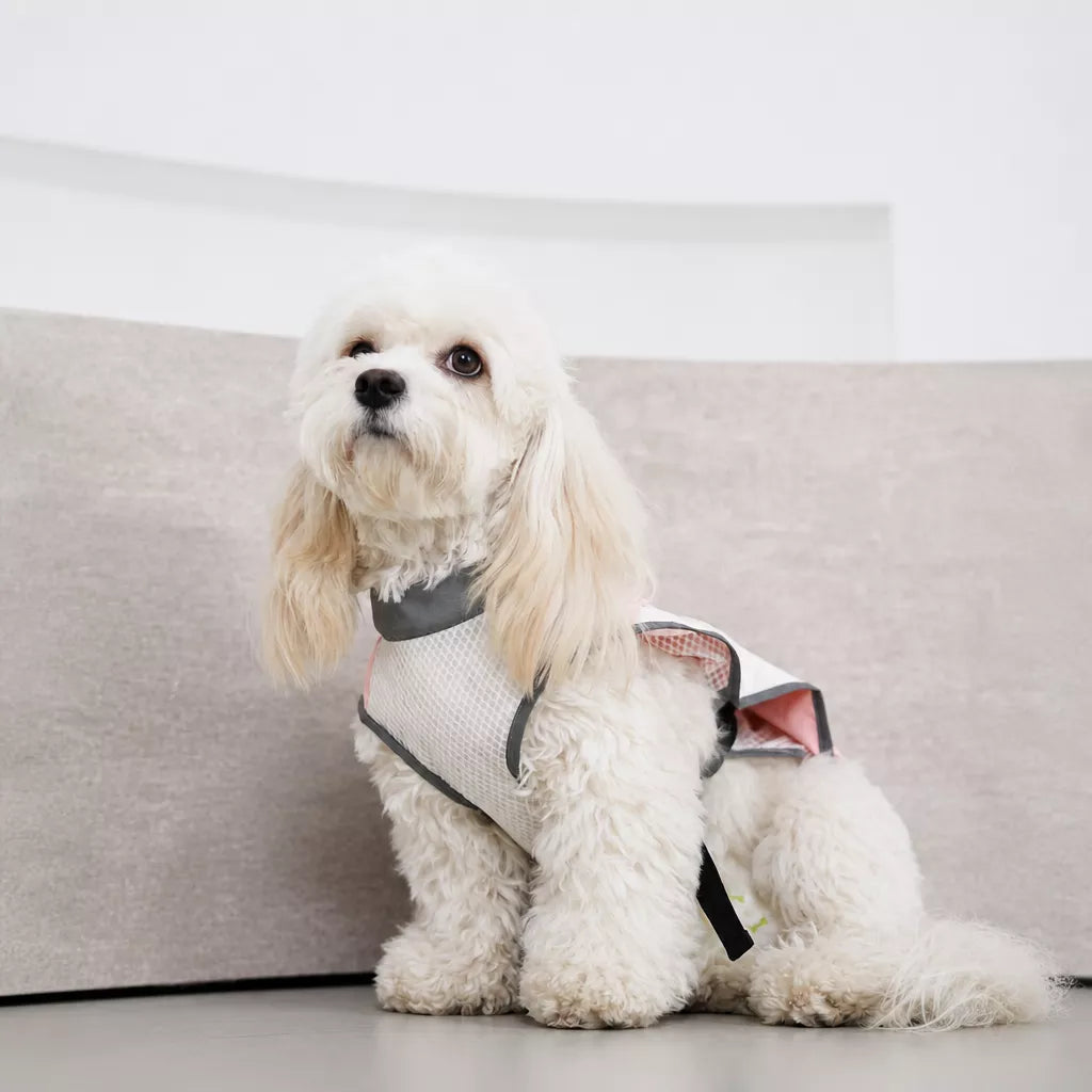 Lightweight Polyester Dog Vest