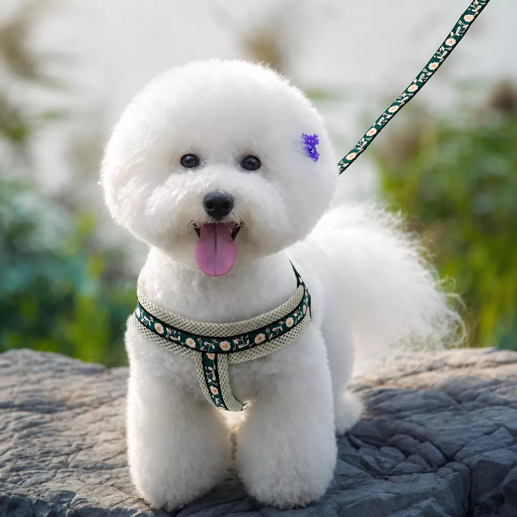 Small Dog Vest Harness and Leash