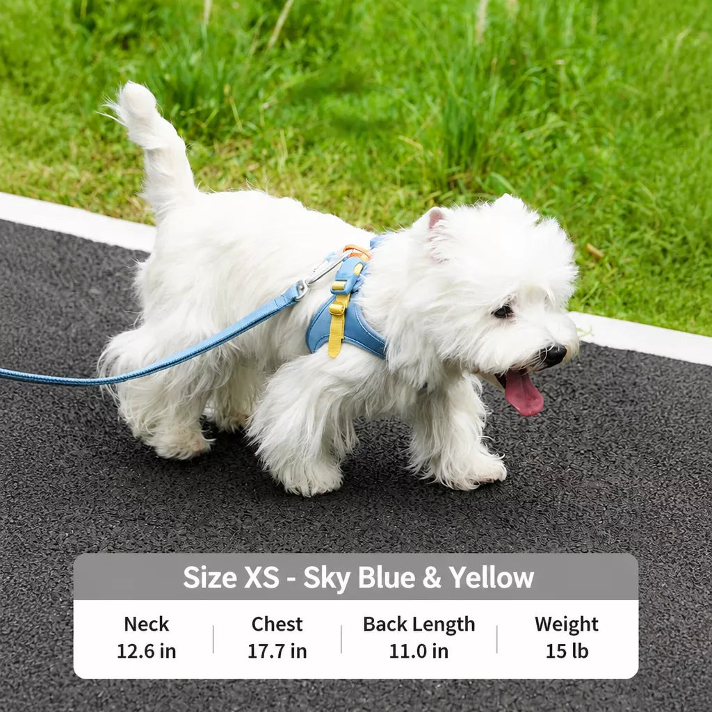 Adjustable Nylon Vest Harness for Small Dogs