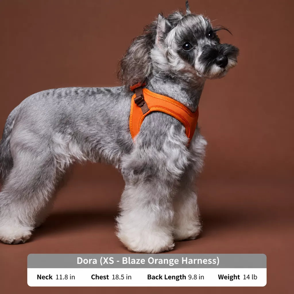 Adjustable Nylon Vest Harness for Small Dogs