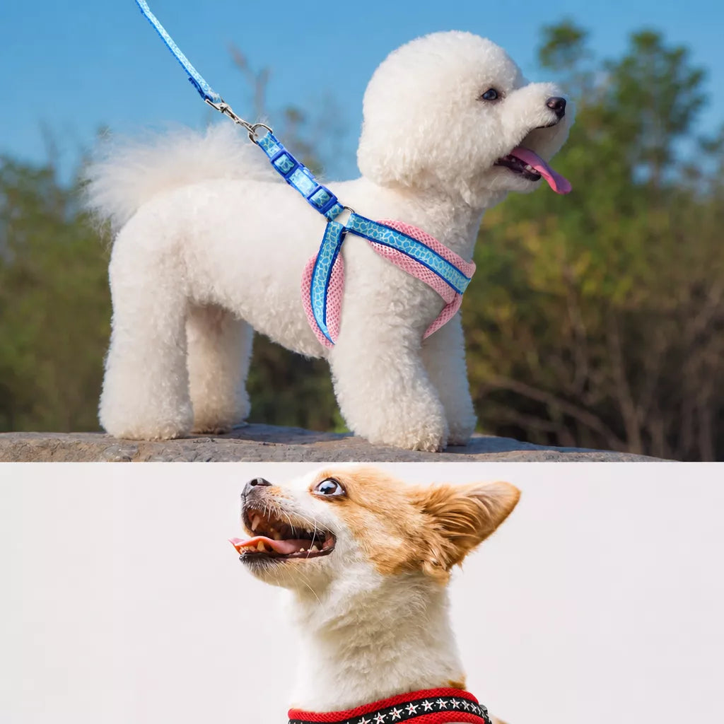 Small Dog Vest Harness and Leash