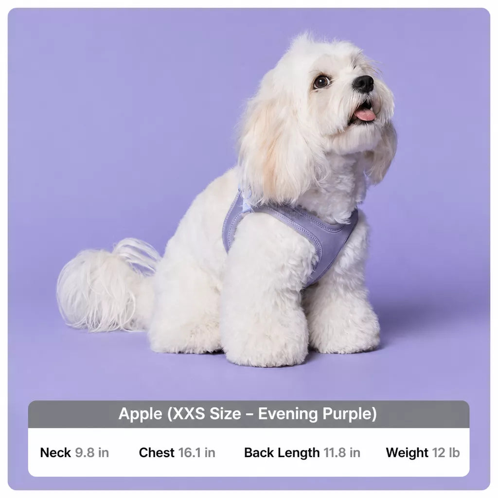 Adjustable Nylon Vest Harness for Small Dogs