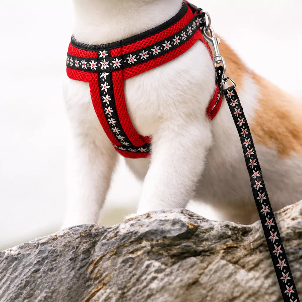 Small Dog Vest Harness and Leash