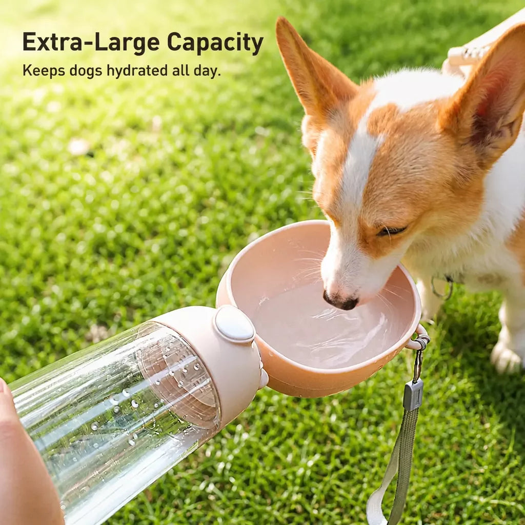 Portable Dog Water Bottle for Walks and Outdoor Adventures