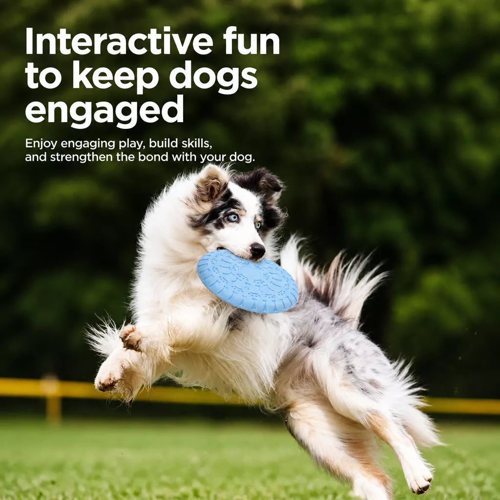 Soft Resin Dog Frisbee for Outdoor Play & Training