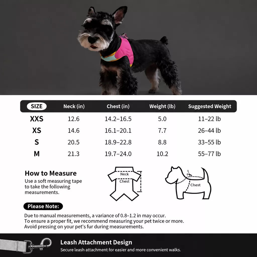 Y-Front Dog Harness with Matching Leash