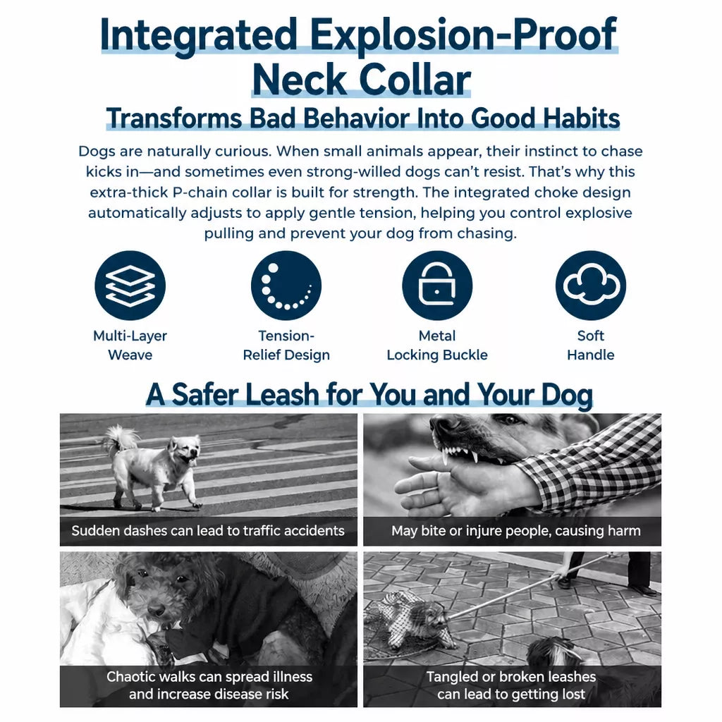 Dog Rope Leash