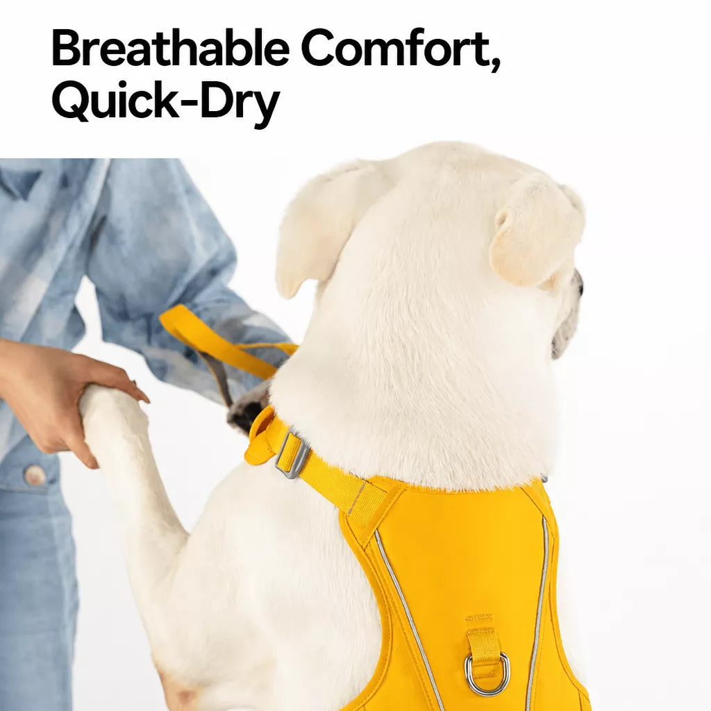 Lightweight Nylon Dog Harness and Leash Set
