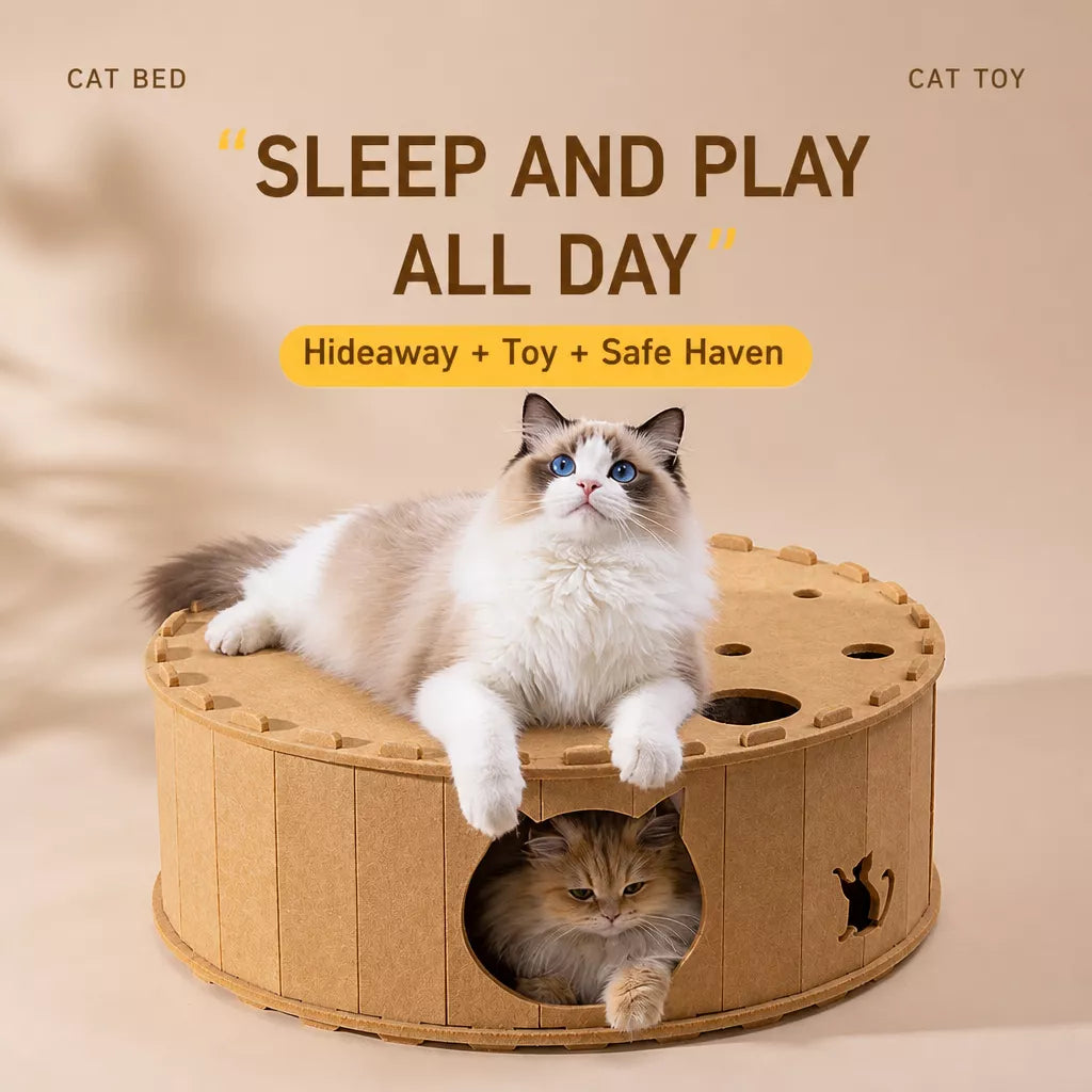 Donut Cat Scratcher Bed with Enclosed Tunnel