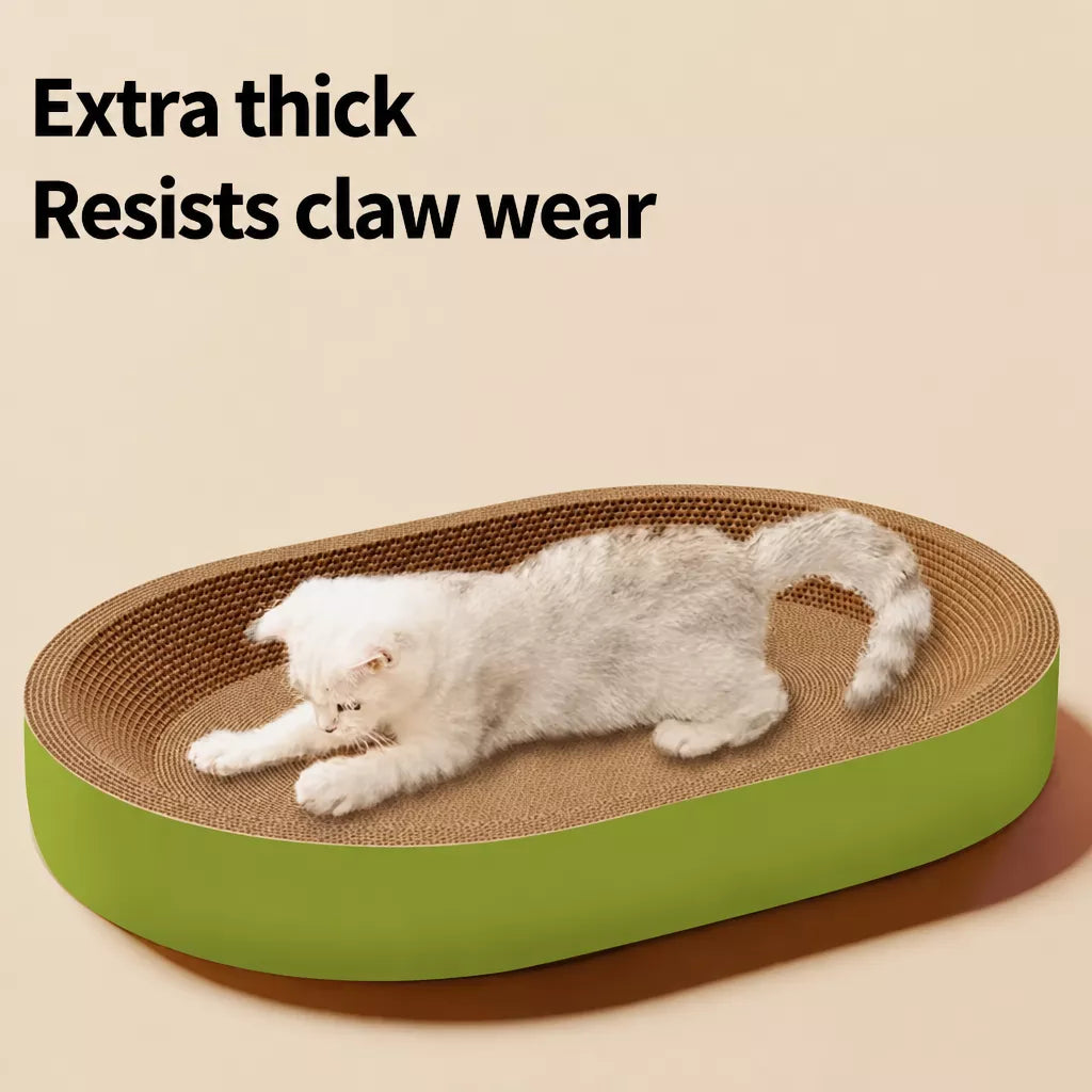 Cat Scratcher Bed with Integrated Lounger