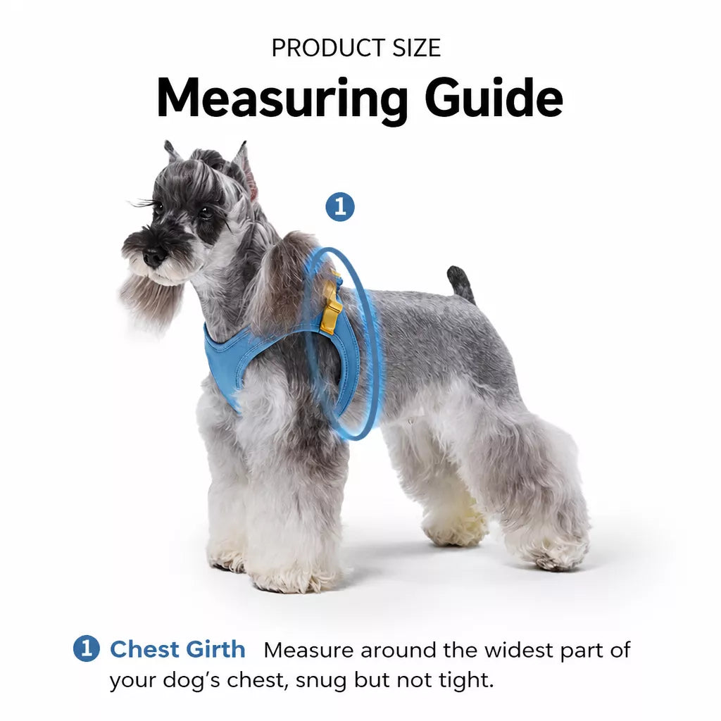 Adjustable Nylon Vest Harness for Small Dogs
