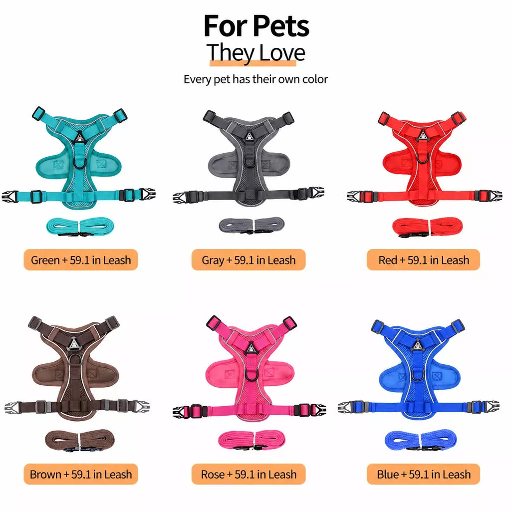 Cat Harness and Leash